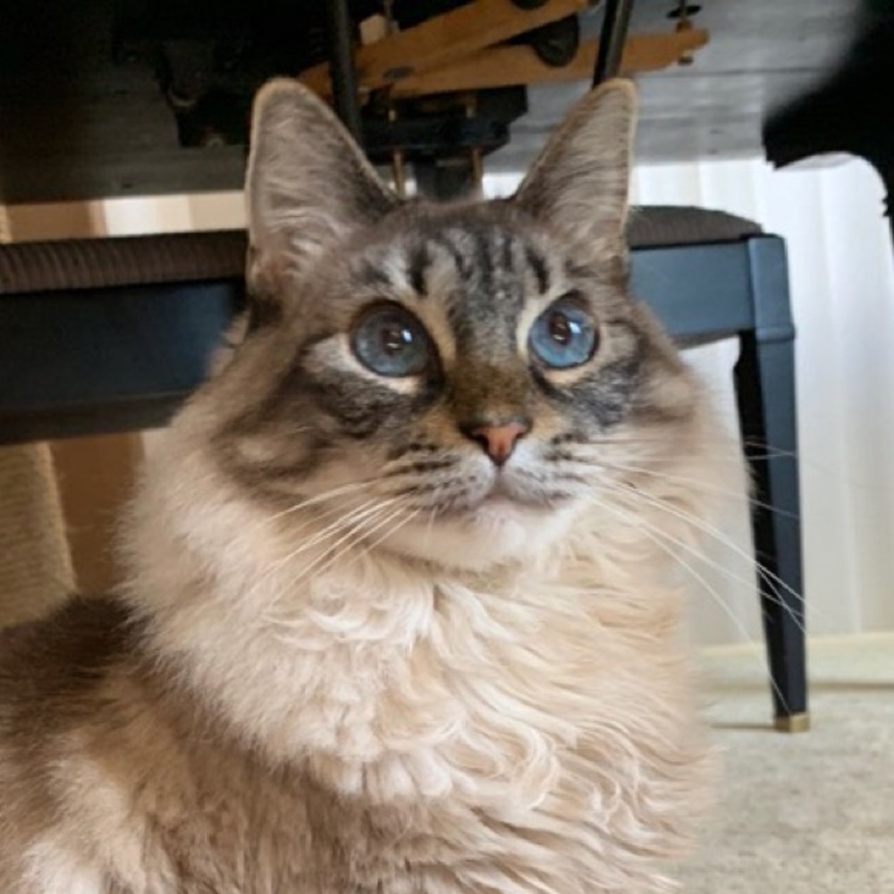 Meet your Posher, Claire